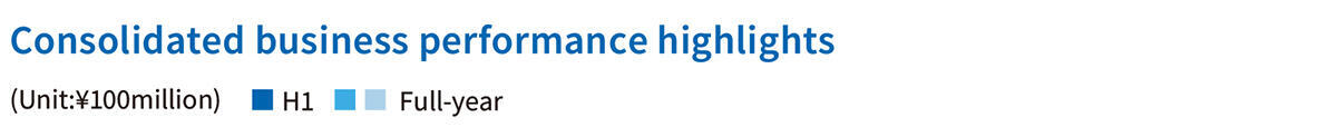 Consolidated business performance highlights