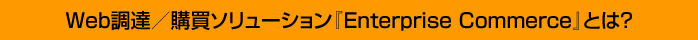Web調達/購買ソリューション『Enterprise Commerce』とは?
