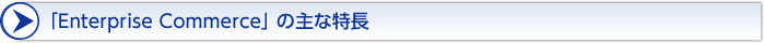 「Enterprise Commerce」 の主な特長 「Enterprise Commerce」 の主な特長