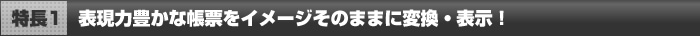 【特長1】　表現力豊かな帳票をイメージそのままに変換・表示！