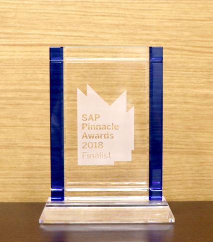 「2018 SAP Pinnacle Awards」楯