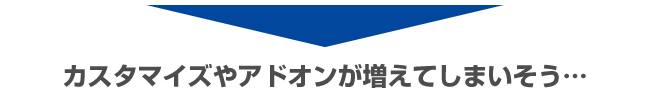 カスタマイズやアドオンが増えてしまいそう・・・