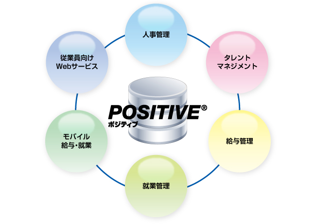 POSITIVE全体図