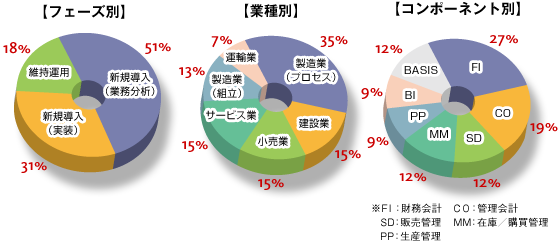 ERP構築実績内訳図
