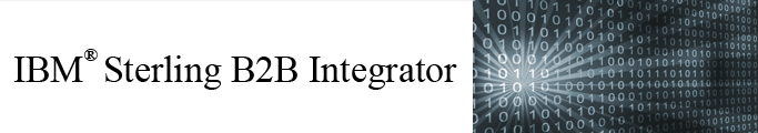 IBM Sterling B2B Integrator